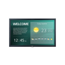 DISPLAY LCD 22"/22SM3G-B LG