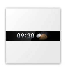 SMART HOME DISPLAY SWITCH V1/WS-K02D AQARA