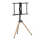 TV SET ACC FLOOR STAND 32-75"/TRIPOD TVS-75ST-01 GEMBIRD