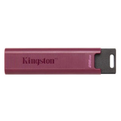 MEMORY DRIVE FLASH USB3.2/256GB DTMAXA/256GB KINGSTON
