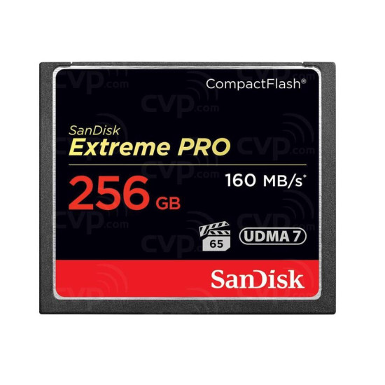 MEMORY COMPACT FLASH 256GB/SDCFXPS-256G-X46 SANDISK MEMORY COMPACT FLASH 256GB/SDCFXPS-256G-X46 SANDISK