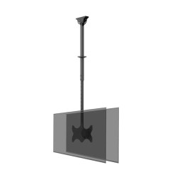 TV SET ACC CEILING MOUNT DUAL/23-42" CL35-340BL22 NEOMOUNTS