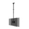 TV SET ACC CEILING MOUNT DUAL/23-42" CL35-340BL22 NEOMOUNTS