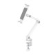 NEOMOUNTS TABLET DESK CLAMP (SUITED FROM 4,7" UP TO 12.9") WHITE