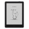 E-Reader|ONYX BOOX|Go 6 (Gen II)|OPC1520R