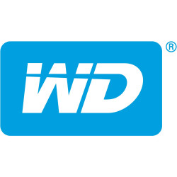 External HDD|WESTERN DIGITAL|1000 GB|Colour Black|WDBDTV0010BBK-WESN