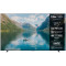 TV Set|TCL|115 "|4K Ultra HD|3840 x 2160 pixels|Flat|16:9|QD-Mini LED|115C7K
