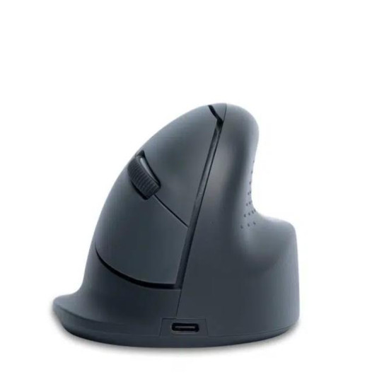 MOUSE USB OPTICAL WRL BASIC/R. GREY RGOHEBAMRWL R-GO TOOLS MOUSE USB OPTICAL WRL BASIC/R. GREY RGOHEBAMRWL R-GO TOOLS