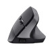 Trust Bayo+ mouse Office Right-hand RF Wireless + Bluetooth Optical 2400 DPI Trust Bayo+ mouse Office Right-hand RF Wireless + Bluetooth Optical 2400 DPI