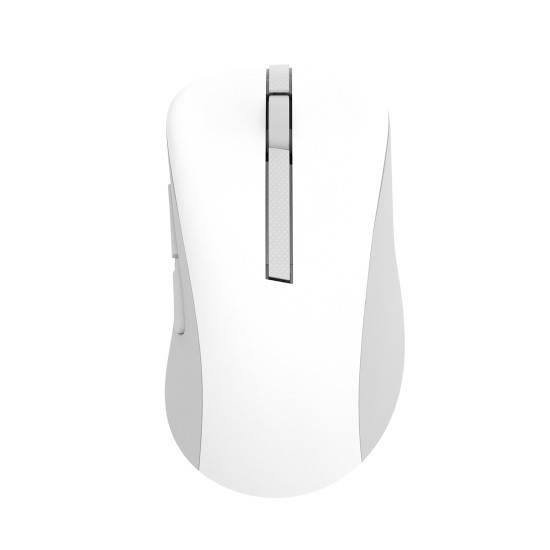 ASUS Wireless MD102 mouse Universal Right-hand RF Wireless + Bluetooth Optical 1600 DPI ASUS Wireless MD102 mouse Universal Right-hand RF Wireless + Bluetooth Optical 1600 DPI