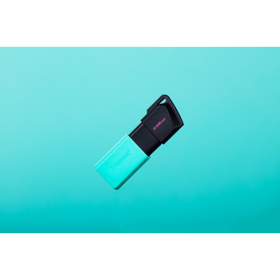 MEMORY DRIVE FLASH USB3.2/256GB DTXM/256GB KINGSTON MEMORY DRIVE FLASH USB3.2/256GB DTXM/256GB KINGSTON