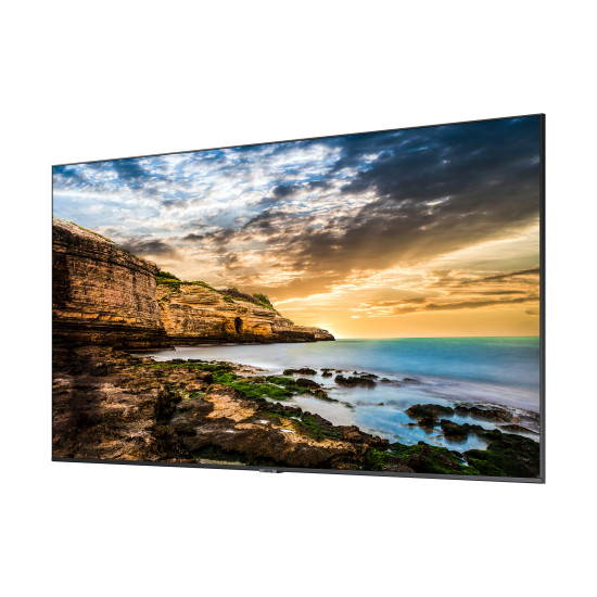 55" Crystal UHD 4K Signage QE55T
