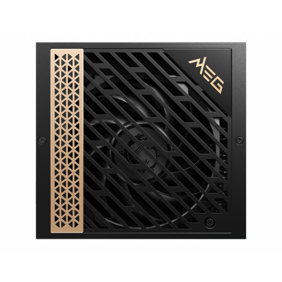 AI1300P PCIE5 AI1300P PCIE5