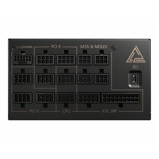 AI1300P PCIE5 AI1300P PCIE5