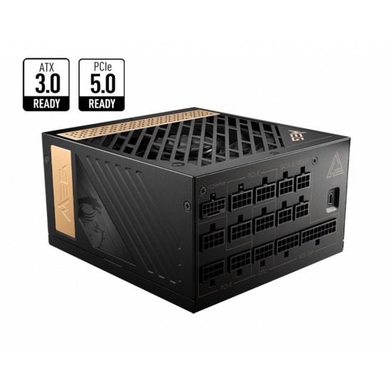 AI1300P PCIE5 AI1300P PCIE5