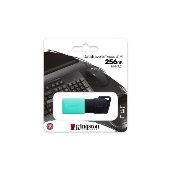 MEMORY DRIVE FLASH USB3.2/256GB DTXM/256GB KINGSTON MEMORY DRIVE FLASH USB3.2/256GB DTXM/256GB KINGSTON