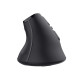 Trust Voxx mouse Office Right-hand RF Wireless + Bluetooth Optical 2400 DPI Trust Voxx mouse Office Right-hand RF Wireless + Bluetooth Optical 2400 DPI