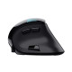 Trust Voxx mouse Office Right-hand RF Wireless + Bluetooth Optical 2400 DPI Trust Voxx mouse Office Right-hand RF Wireless + Bluetooth Optical 2400 DPI