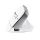 Trust Bayo II mouse Office Right-hand RF Wireless Optical 2400 DPI Trust Bayo II mouse Office Right-hand RF Wireless Optical 2400 DPI