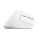 Trust Bayo II mouse Office Right-hand RF Wireless Optical 2400 DPI Trust Bayo II mouse Office Right-hand RF Wireless Optical 2400 DPI