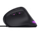 Trust GXT 144 Rexx mouse Gaming Right-hand USB Type-A Optical 10000 DPI Trust GXT 144 Rexx mouse Gaming Right-hand USB Type-A Optical 10000 DPI