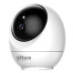 5MP Indoor Fixed-focal Wi-Fi Pan & Tilt Network Camera