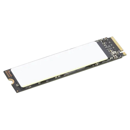 4XB1M86955