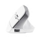 Trust Bayo+ mouse Office Right-hand RF Wireless + Bluetooth Optical 2400 DPI Trust Bayo+ mouse Office Right-hand RF Wireless + Bluetooth Optical 2400 DPI