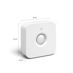 Hue Motion sensor