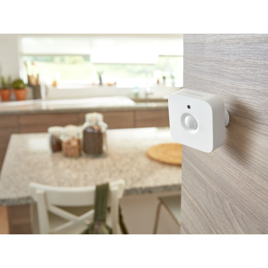 Hue Motion sensor