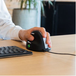Ergonomic mouse R-Go HE Break with break software, large (hand size ≥ 185 mm), left-handed, Wired, black