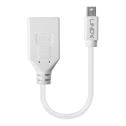 0.20m Mini DisplayPort to DisplayPort Adapter Cable