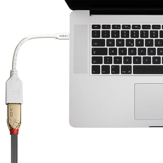 0.20m Mini DisplayPort to DisplayPort Adapter Cable 0.20m Mini DisplayPort to DisplayPort Adapter Cable