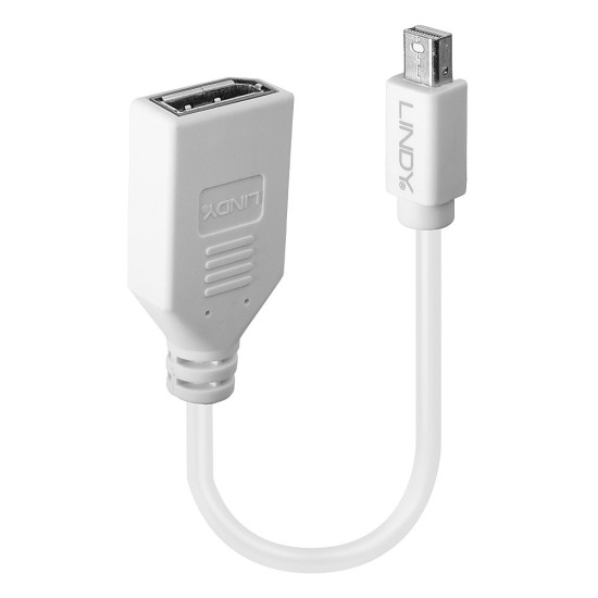 0.20m Mini DisplayPort to DisplayPort Adapter Cable 0.20m Mini DisplayPort to DisplayPort Adapter Cable