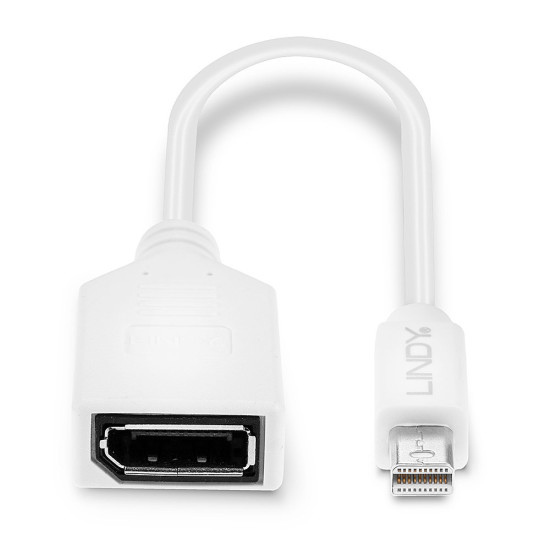 0.20m Mini DisplayPort to DisplayPort Adapter Cable 0.20m Mini DisplayPort to DisplayPort Adapter Cable