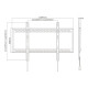 M Universal Wallmount HD 100kg 900x600