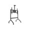 M Collaboration Floorstand 65"-100" Plus