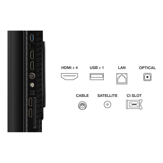 55P8K 55" 4K QLED HDR Smart TV