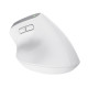 Trust Bayo+ mouse Office Right-hand RF Wireless + Bluetooth Optical 2400 DPI Trust Bayo+ mouse Office Right-hand RF Wireless + Bluetooth Optical 2400 DPI