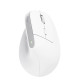 Trust Bayo+ mouse Office Right-hand RF Wireless + Bluetooth Optical 2400 DPI Trust Bayo+ mouse Office Right-hand RF Wireless + Bluetooth Optical 2400 DPI
