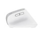 Trust Bayo+ mouse Office Right-hand RF Wireless + Bluetooth Optical 2400 DPI Trust Bayo+ mouse Office Right-hand RF Wireless + Bluetooth Optical 2400 DPI