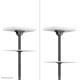 Neomounts CL35-340BL12 Monitor/TV mount ceiling 23-42" - h 106-156 cm Neomounts CL35-340BL12 Monitor/TV mount ceiling 23-42" - h 106-156 cm
