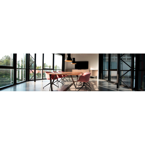 LCD Monitor|AOC|24E1Q|23.8"|Panel IPS|1920x1080|16:9|60Hz|5 ms|Speakers|Tilt|24E1Q