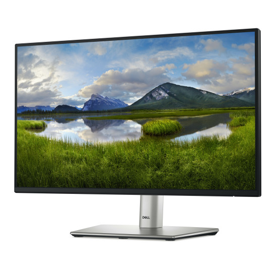 DELL P Series P2225H computer monitor 54.6 cm (21.5") 1920 x 1080 pixels Full HD LCD Black, Silver DELL P Series P2225H computer monitor 54.6 cm (21.5") 1920 x 1080 pixels Full HD LCD Black, Silver