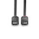 Lindy 0.5m DisplayPort 1.2 Cable, Black Line Lindy 0.5m DisplayPort 1.2 Cable, Black Line