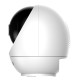 5MP Indoor Fixed-focal Wi-Fi Pan & Tilt Network Camera