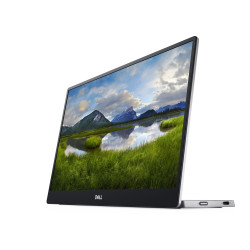 14 Portable Monitor - P1424H