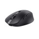 Trust Ozaa mouse Office Right-hand RF Wireless + Bluetooth Optical 3200 DPI Trust Ozaa mouse Office Right-hand RF Wireless + Bluetooth Optical 3200 DPI