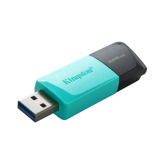 MEMORY DRIVE FLASH USB3.2/256GB DTXM/256GB KINGSTON MEMORY DRIVE FLASH USB3.2/256GB DTXM/256GB KINGSTON