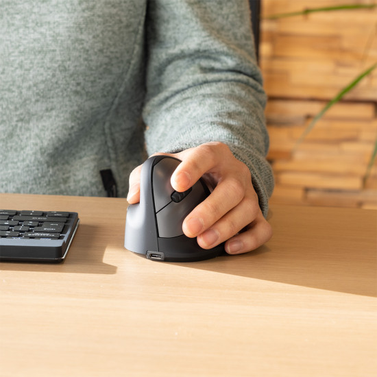 R-Go Tools Ergonomic mouse R-Go HE Break with break software, medium (hand size 165-185 mm), left-handed, Bluetooth, black R-Go Tools Ergonomic mouse R-Go HE Break with break software, medium (hand size 165-185 mm), left-handed, Bluetooth, black